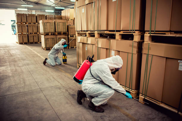 Professional Pest Control in Galt, CA