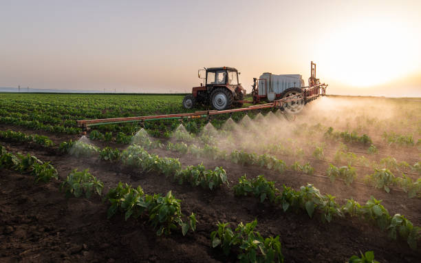 Best Ant Control Services  in Galt, CA