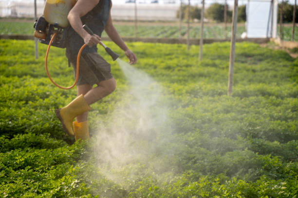 Best Flea Control Services  in Galt, CA
