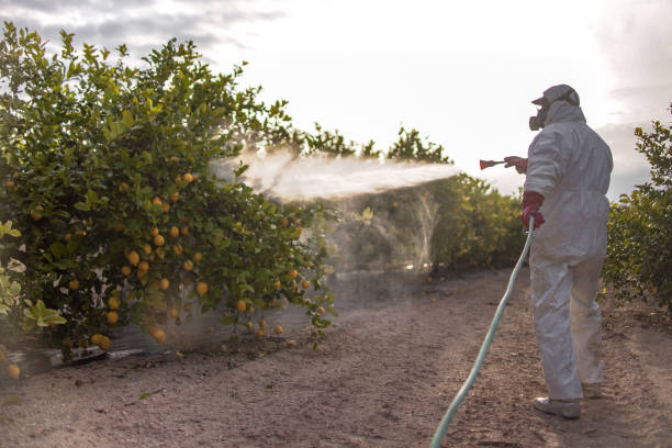 Best Best Pest Control Companies  in Galt, CA