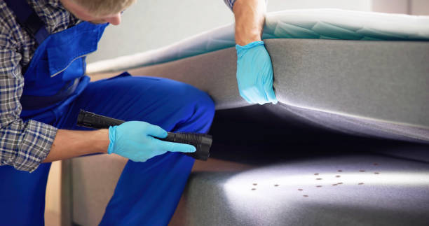 Best Best Pest Control Companies  in Galt, CA