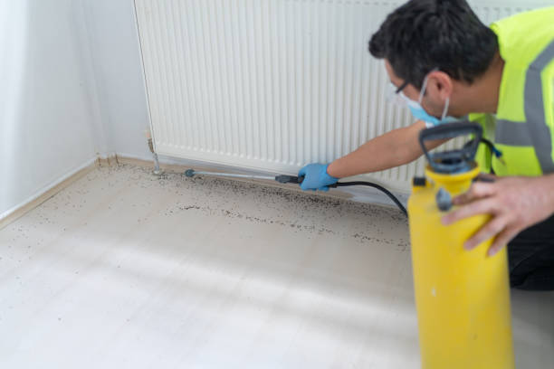 Best Cockroach Control Services  in Galt, CA