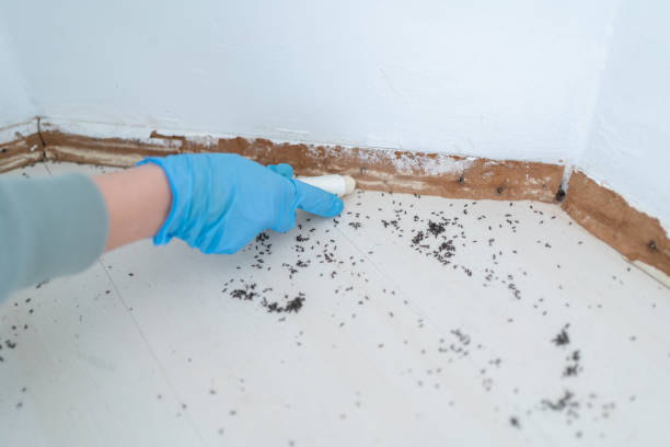 Best Pest Prevention Services  in Galt, CA