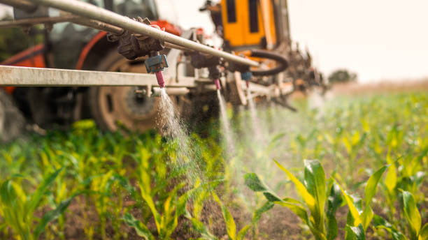 Best Ant Control Services  in Galt, CA